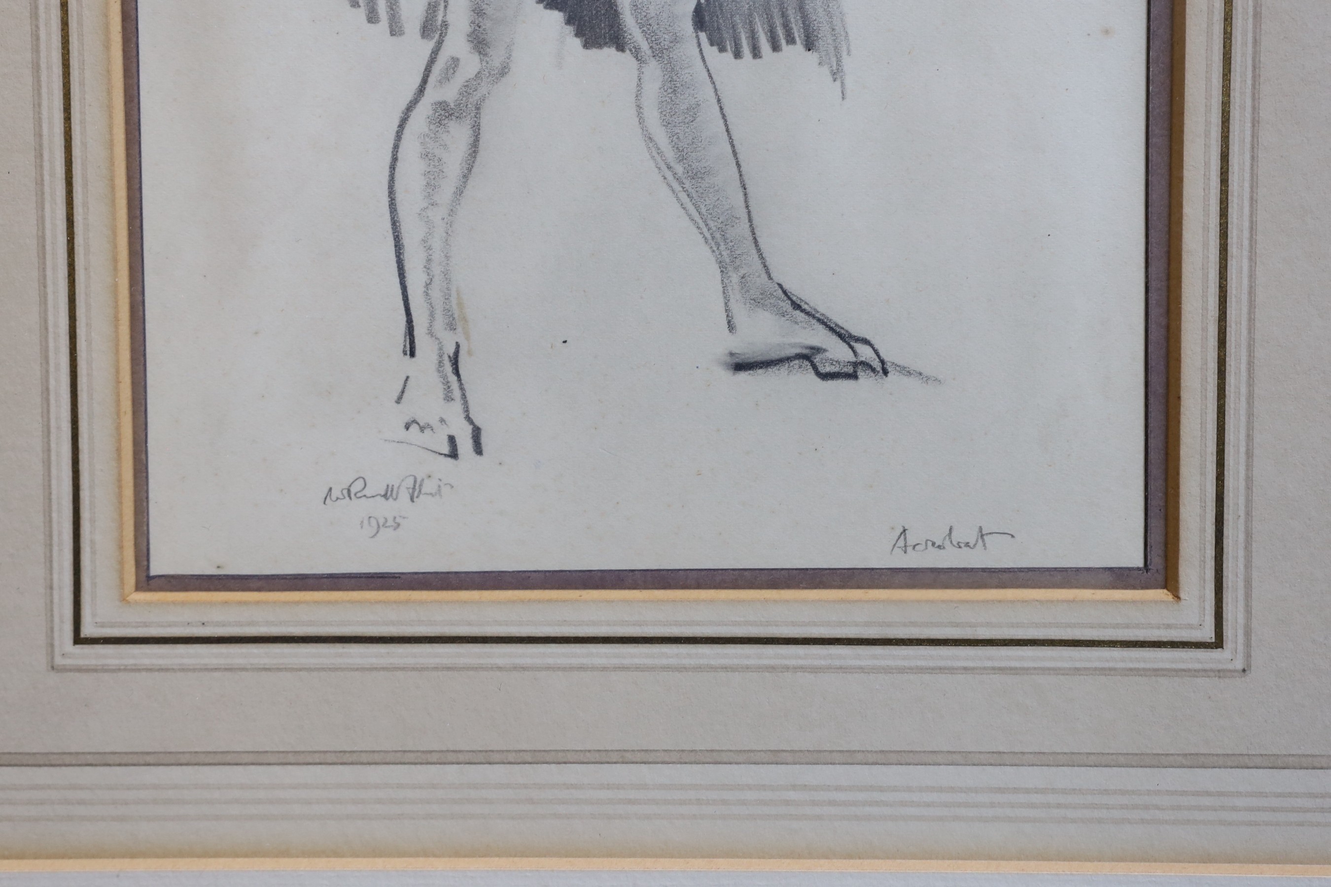 Sir William Russell Flint (1880-1969), 'Acrobat', pencil on paper, 21 x 15cm